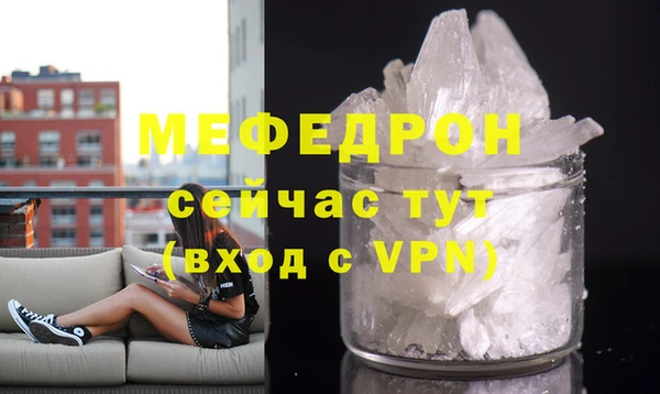дмт Богданович
