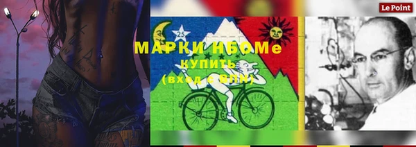 дмт Богданович