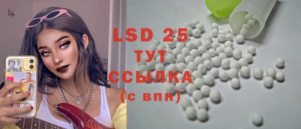 дмт Богданович