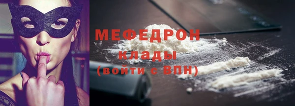 дмт Богданович