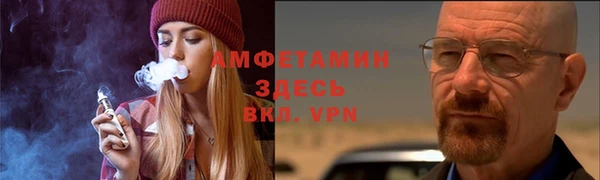 дмт Богданович