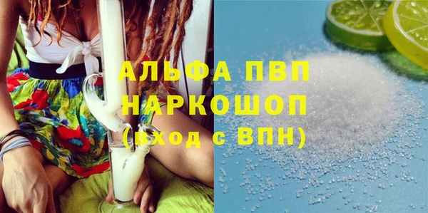 дмт Богданович