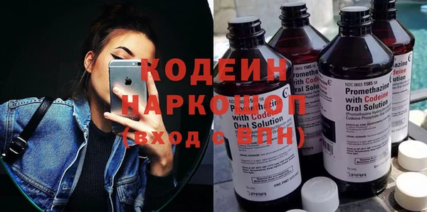 дмт Богданович