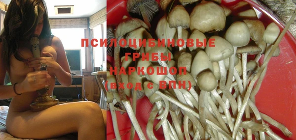 дмт Богданович