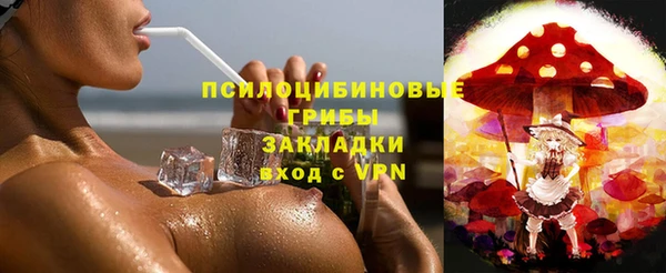 дмт Богданович
