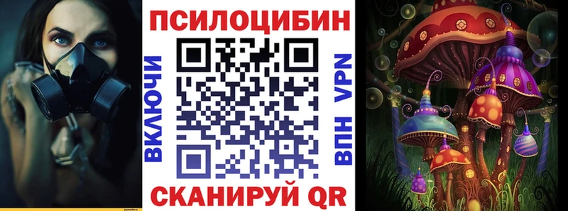 Галлюциногенные грибы прущие грибы  Дагестанские Огни 
