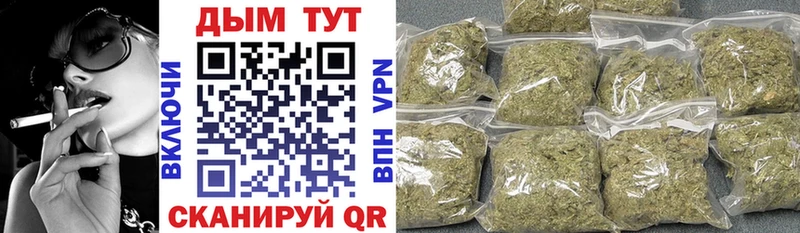 Конопля конопля Дагестанские Огни